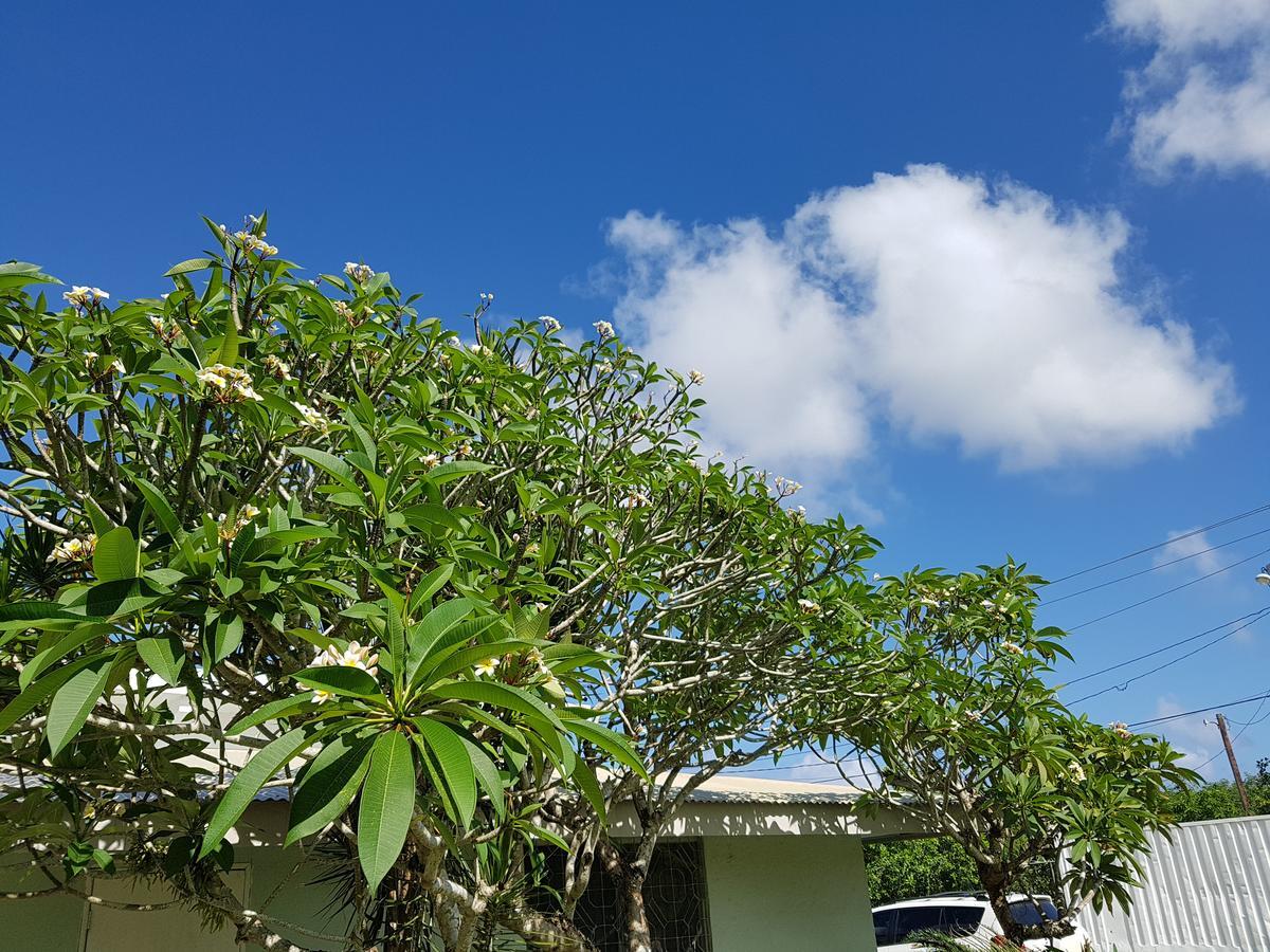 Saipan Family Residence Susupe Экстерьер фото